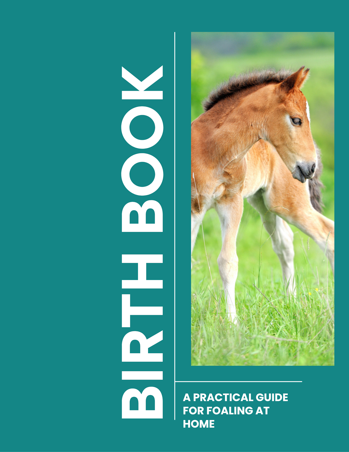 Birth Book cover 50%