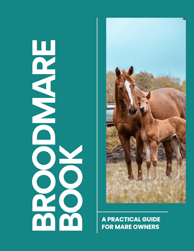 Broodmare Book cover 400